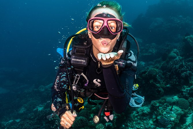 5 Fun Dives in Pemuteran (for certified divers) - Exploration in Menjangan Park - Why Menjangan works so well for a two-day scuba trip