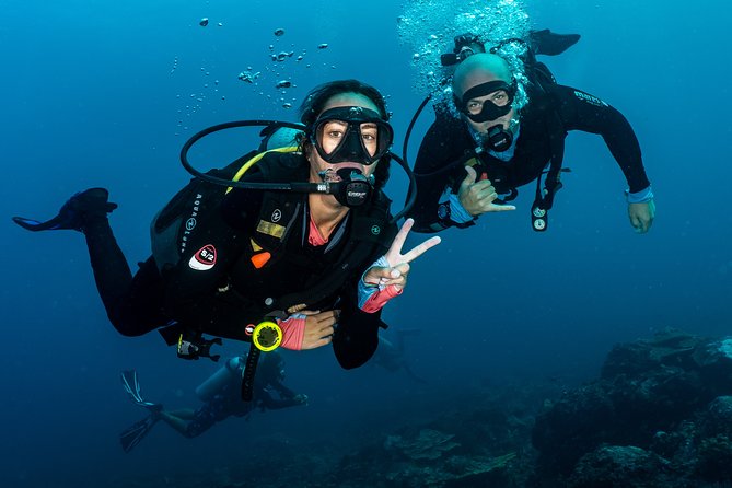 5 Fun Dives in Pemuteran (for certified divers) - Exploration in Menjangan Park - Is $180.56 a fair price?