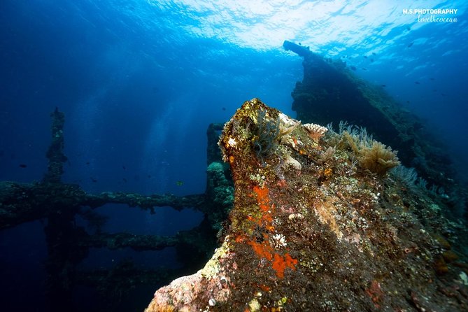 5 Fun Dives in Tulamben (for certified divers) - Discover famous diving sites - Why five sessions work well in Tulamben