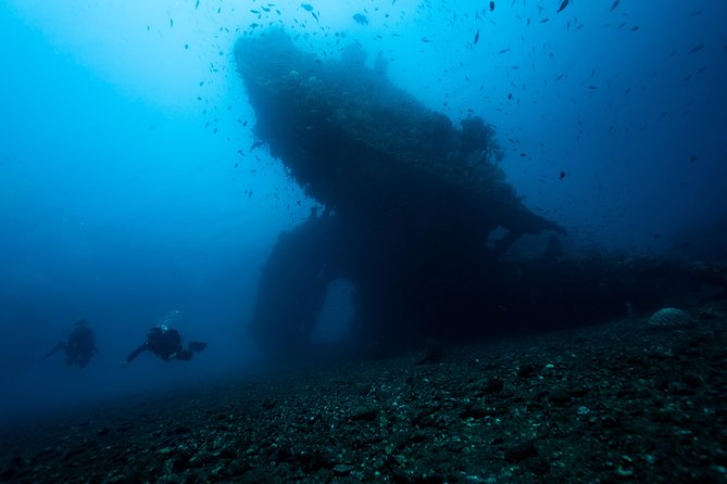 5 Fun Dives in Tulamben (for certified divers) - Discover famous diving sites - The USAT Liberty, Tulamben’s famous wreck