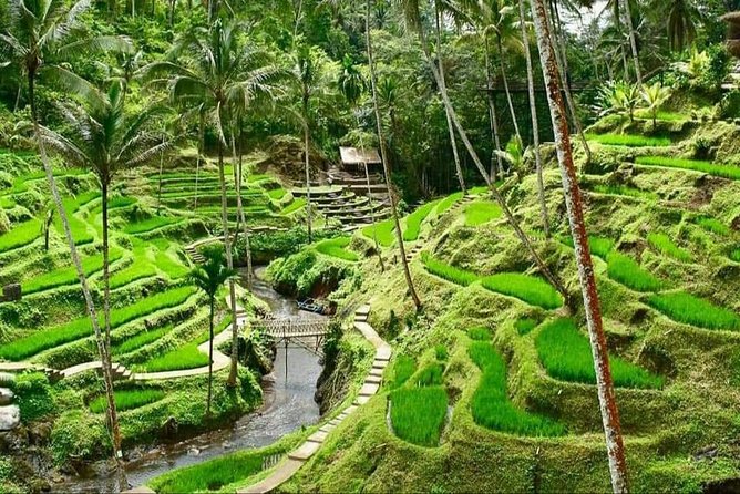 6 Days Best Of Bali And Nusa Penida All Inclusive Private Tour - Day two: Nusa Penida’s famous west coast