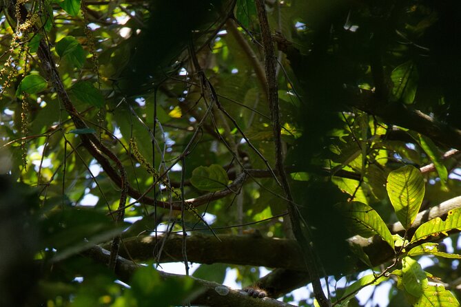 6 Days Bukit Lawang - Berastagi Tour (2D1N Jungle Treking + Sunrise Hiking) - Sunrise on Mount Sibayak