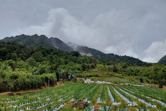 7 Days 6 Nights North Sumatra Tour (Bukit Lawang-Berastagi-Lake Toba) - Day 3: Berastagi and the Karo Highlands