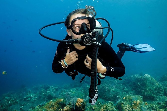 7 Fun Dives in Nusa Lembongan (for certified divers) - Premium Value Package - Toyapakeh offers another local site