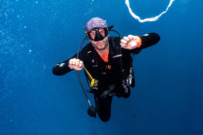 7 Fun Dives in Pemuteran (for certified divers) - Exploration in Menjangan Park - The 8:00 a.m. start and boat ride to Menjangan