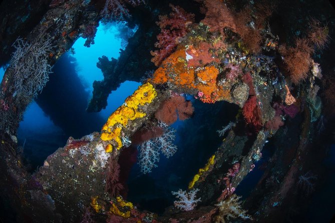 7 Fun Dives in Tulamben (for certified divers) - Premium Value Package - What the guides add to the experience