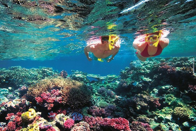 A Day to Komodo Island - Kanawa Island closes the island-hopping circuit