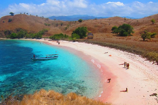 A Day to Komodo Island - What the $125 price includes, and what it does not