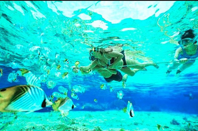 All Inclusive : Bali Blue Lagoon Snorkeling, Lunch, and Transport - Lunch after the water
