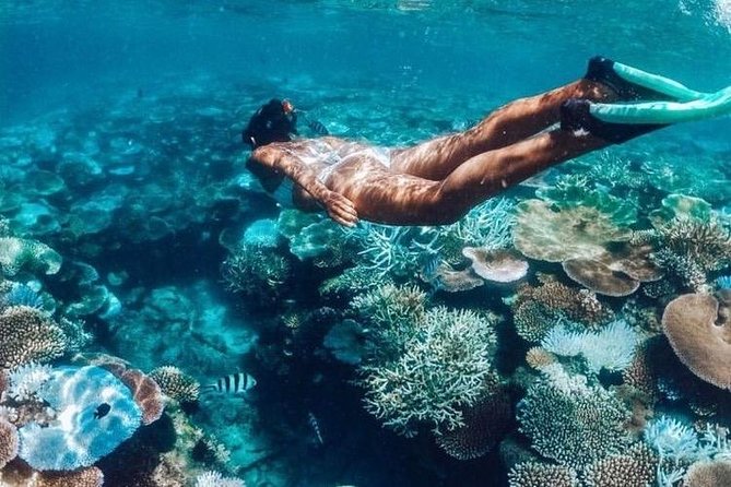 All Inclusive : Bali Blue Lagoon Snorkeling, Lunch, and Transport - Tanjung Jepun and the value of a second reef