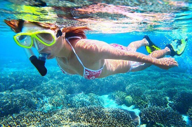 All Inclusive : Bali Blue Lagoon Snorkeling with Lunch &Transfers - Is this suitable for children and beginners?