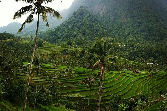 All inclusive Bali Sekumpul Waterfalls Trekking Tour - Fitness, clothing, and the wet-weather reality