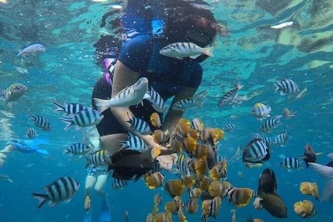 All Inclusive Blue Lagoon Snorkeling with Bali ATV Quad Adventure - Service and driver support