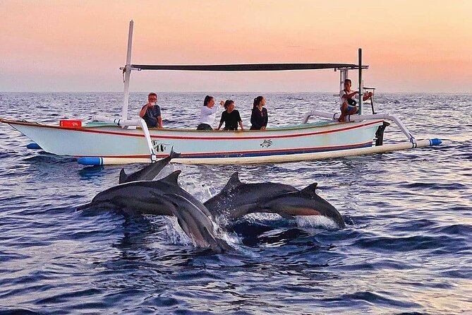All inclusive Lovina Dolphins Sunrise tour, Waterfall & Temple - A sunrise start from Kuta