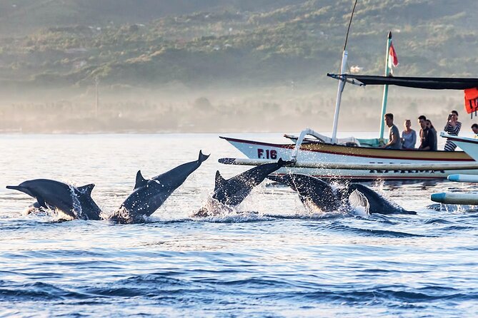 All inclusive Lovina Dolphins Sunrise tour, Waterfall & Temple - Ulun Danu Beratan Temple and Balinese tradition