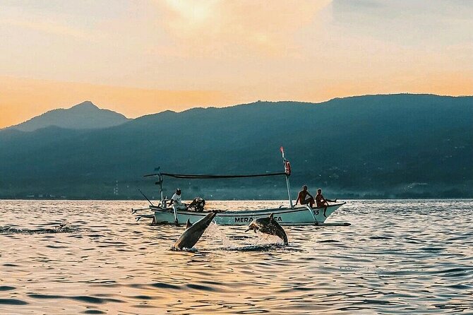 All inclusive Lovina Dolphins Sunrise tour, Waterfall & Temple - The pace, physical demands, and best match