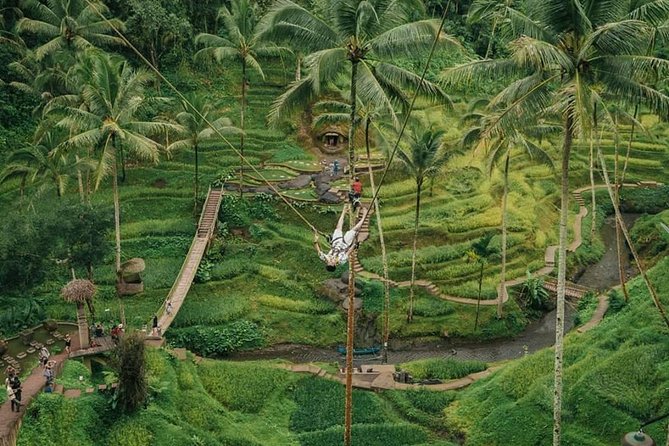 All inclusive Private 3 day tours package : Bali highlights - Day two: sea temples, mountain water, and Bali’s photo stops