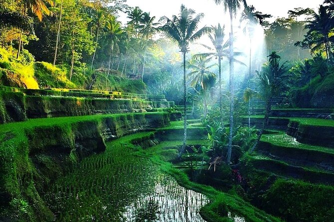 [All Inclusive] The Soul of Bali: Temples, Art & Traditions Tour - Goa Gajah: An 11th-century sacred site