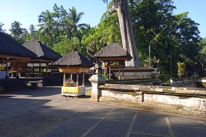 [All Inclusive] The Soul of Bali: Temples, Art & Traditions Tour - Pickup areas and the real value of $50