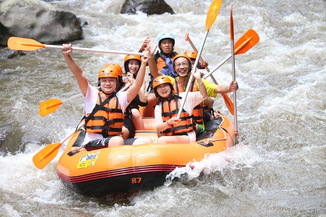 All Inclusive - Toekad Ubud Ayung River Rafting - Who should book this Ayung River outing?