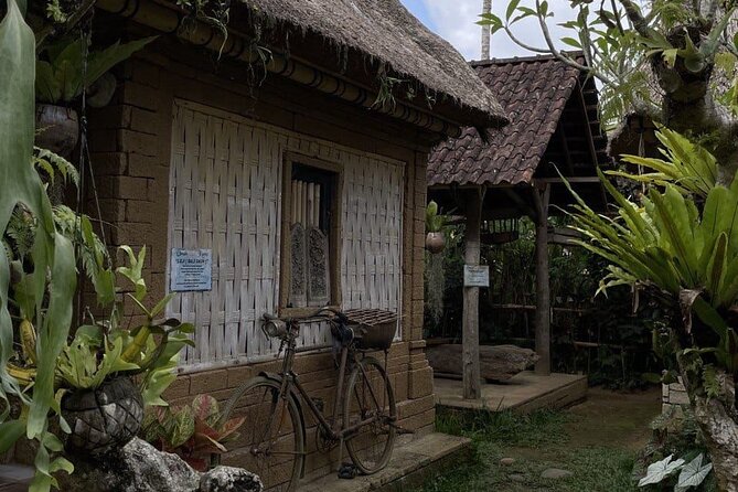 All Inclusive Ubud Cultural and Natural Highlights Tour - What This Ubud Day Does Well