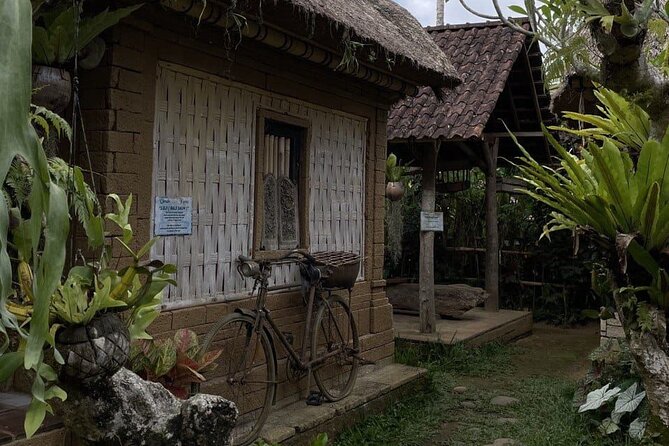 All Inclusive Ubud Cultural and Natural Highlights Tour - Why the Private Vehicle Matters From Seminyak