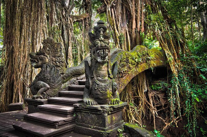 All-Inclusive Ubud Private Tour - Reading the rice terraces at Tegalalang