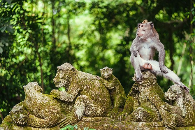 All inclusive Ubud private tour - Why the private format changes the day