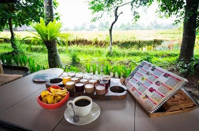 All Inclusives Bali Private Tour Temples Palaces and Nature - Who should book this East Bali day trip?