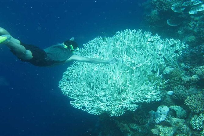 All Ticket Inclusive-Blue Lagoon Snorkeling-Ubud Monkey Forest & Ubud Waterfall - Lunch, facilities, and what to pack