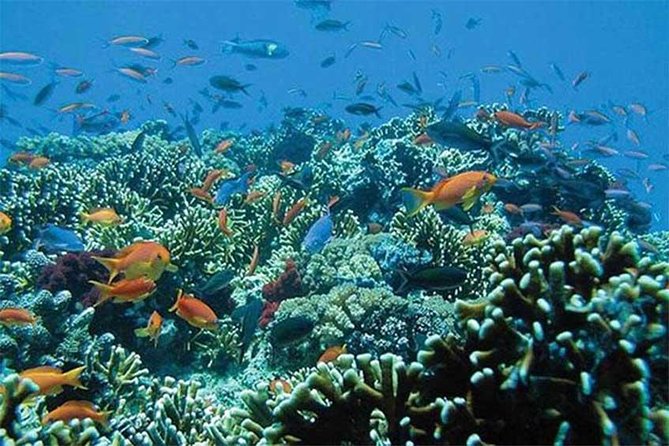 All Ticket Inclusive-Blue Lagoon Snorkeling-Ubud Monkey Forest & Ubud Waterfall - Private touring and the value of hotel pickup