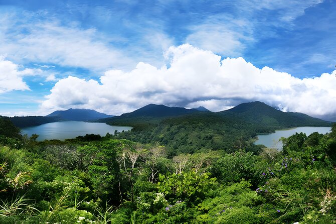 Amazing Bali Dolphin Watching Trip Experience - Handara Gate and the reality of the famous photo stop