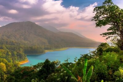 Amazing Bali Dolphin Watching Trip Experience