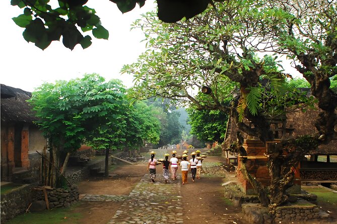 Amazing Private East Bali Full-Day Tour - What the Private Car Arrangement Really Gives You