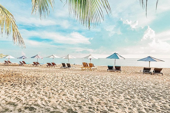 Amed Bali Snorkelling: Japanese Shipwreck & Vienna Beach Tour - Amed Beach and Lipah Bay: more than one view of the reef