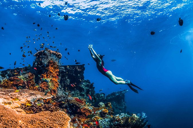 Amed Bali Snorkelling: Japanese Shipwreck & Vienna Beach Tour - Vienna Beach: a calm final stop