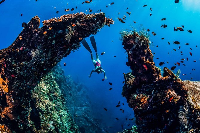 Amed Bali Snorkelling: Japanese Shipwreck & Vienna Beach Tour - Guides, equipment, and the level of help you receive