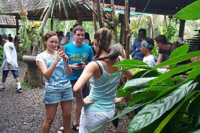 ATV Quad Bike with Kintamani Volcano Tour - All Inclusive - Private transport and the long road between stops
