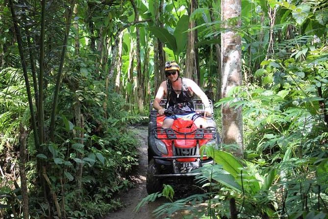 ATV Tour with Monkey Forest Experience in Bali - Three hours through rice fields, jungle, and village roads
