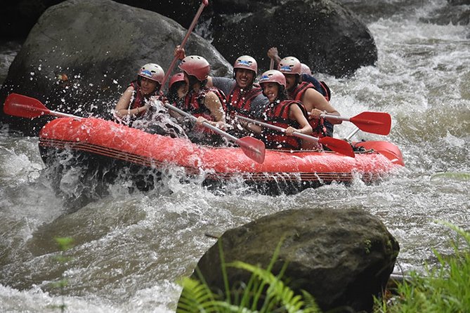 Ayung Rafting Ubud (Include Lunch & Return Transportation) - Key points to know before you book