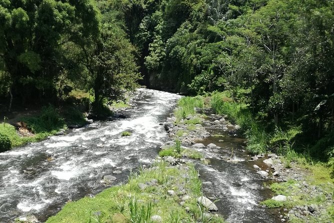 Ayung Rafting Ubud (Include Lunch & Return Transportation) - Lunch at Red Paddle Bali Adventures