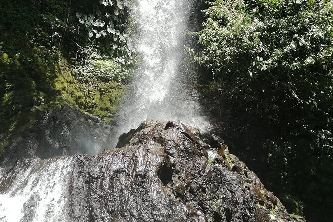 Ayung Rafting Ubud (Include Lunch & Return Transportation) - What the $75 price really covers