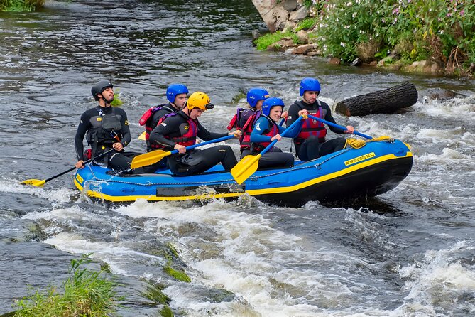Ayung River Rafting - Ubud Best White Water Rafting - Rainforest, Rice Fields, and a Possible Kingfisher