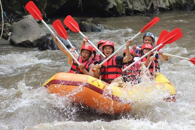 Ayung River - White Water Rafting Bali - Two hours between rapids and calmer water