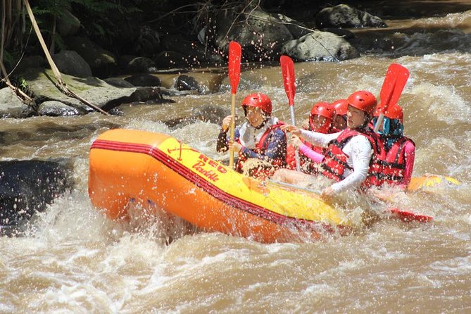 Ayung River - White Water Rafting Bali - Morning or afternoon: choosing your departure