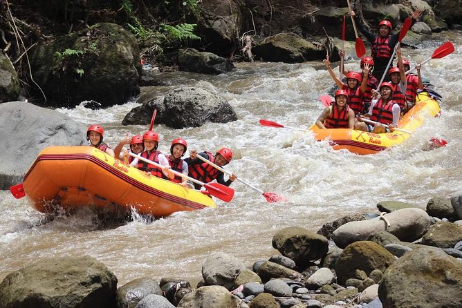 Ayung River - White Water Rafting Bali - Pickup from Ubud and south Bali