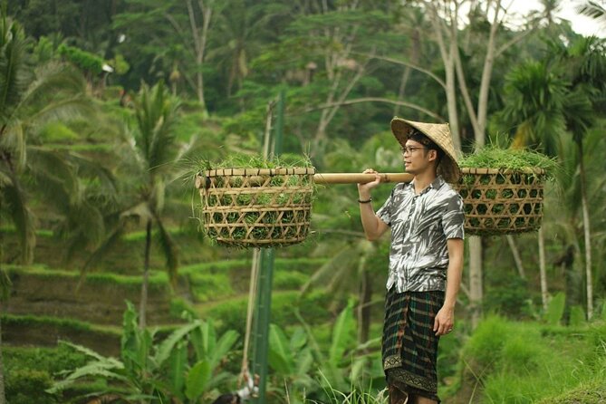 Bali 2 Days Package Nusa Penida and Ubud Tour with All Inclusive - The private-car setup and what it changes