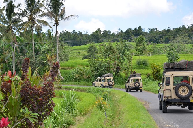 Bali 4WD Adventure WakaLand UNESCO Jatiluwih Trip in Bali Outback - Key points at a glance