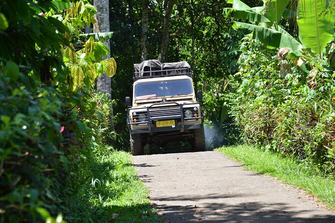 Bali 4WD Adventure WakaLand UNESCO Jatiluwih Trip in Bali Outback - Transport, timing, and group size