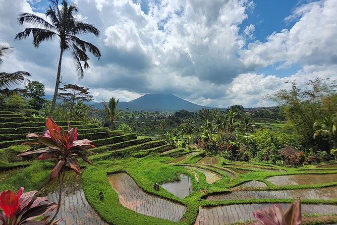 Bali 4WD Adventure WakaLand UNESCO Jatiluwih Trip in Bali Outback - Agricultural villages and the coffee, vanilla, and cocoa break